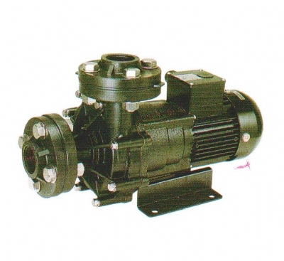 can-dien-tu-camry-sieu-mong-hoa-tiet-hoa-van-eb-9301-s109
